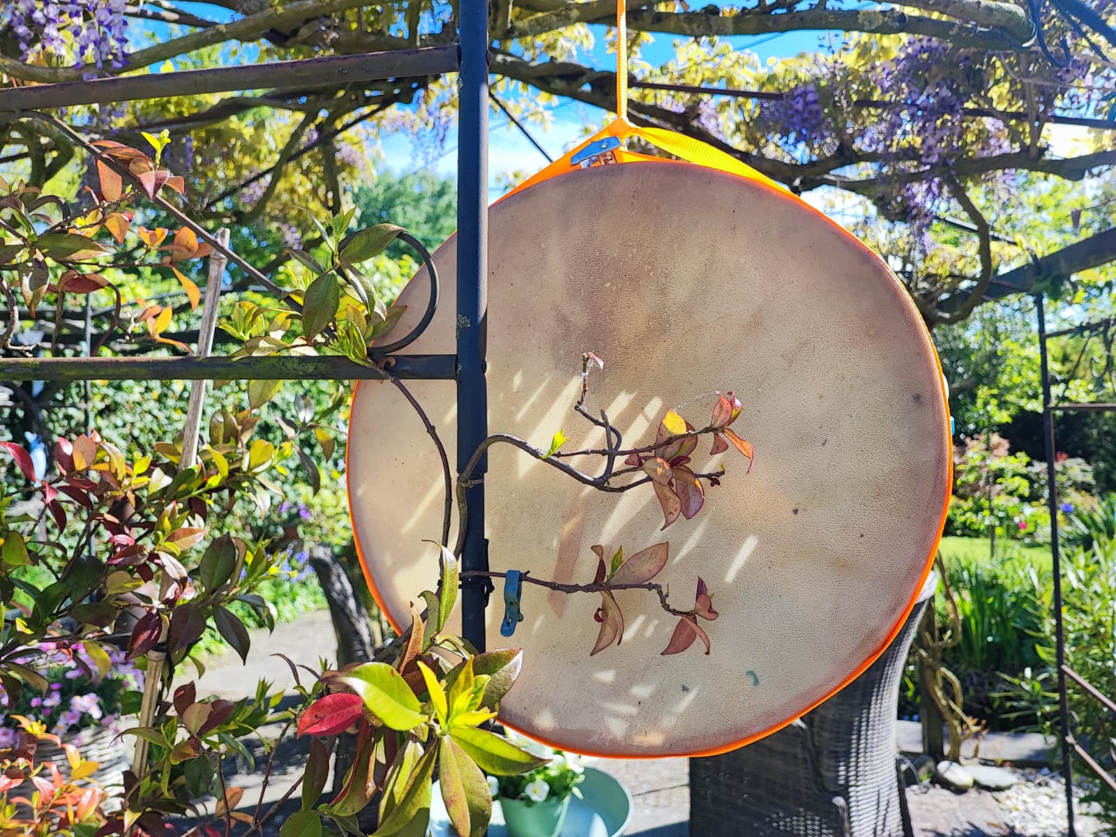 The Peace Drum without its symbols, hanging to dry.